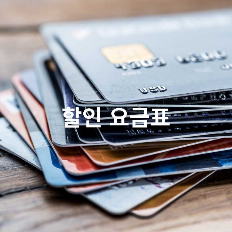 기후동행카드 청소년 할인, 다자녀 할인