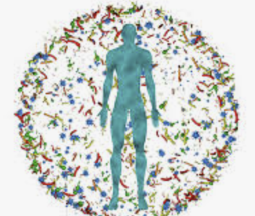 Microbiome–metabolite 기반 약물 상호작용 분석