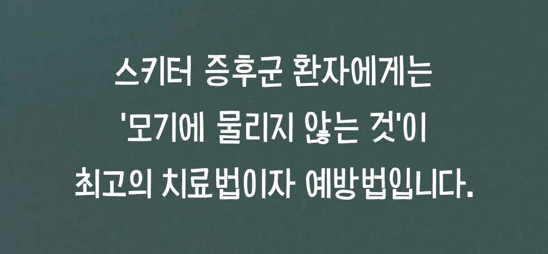 스키터 증후군을 이기는 최고의 예방 전략