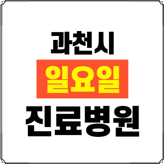 과천시 일요일 진료병원 찾기 ❘ 24시 휴일 주말 응급 야간 심야 문여는 병원