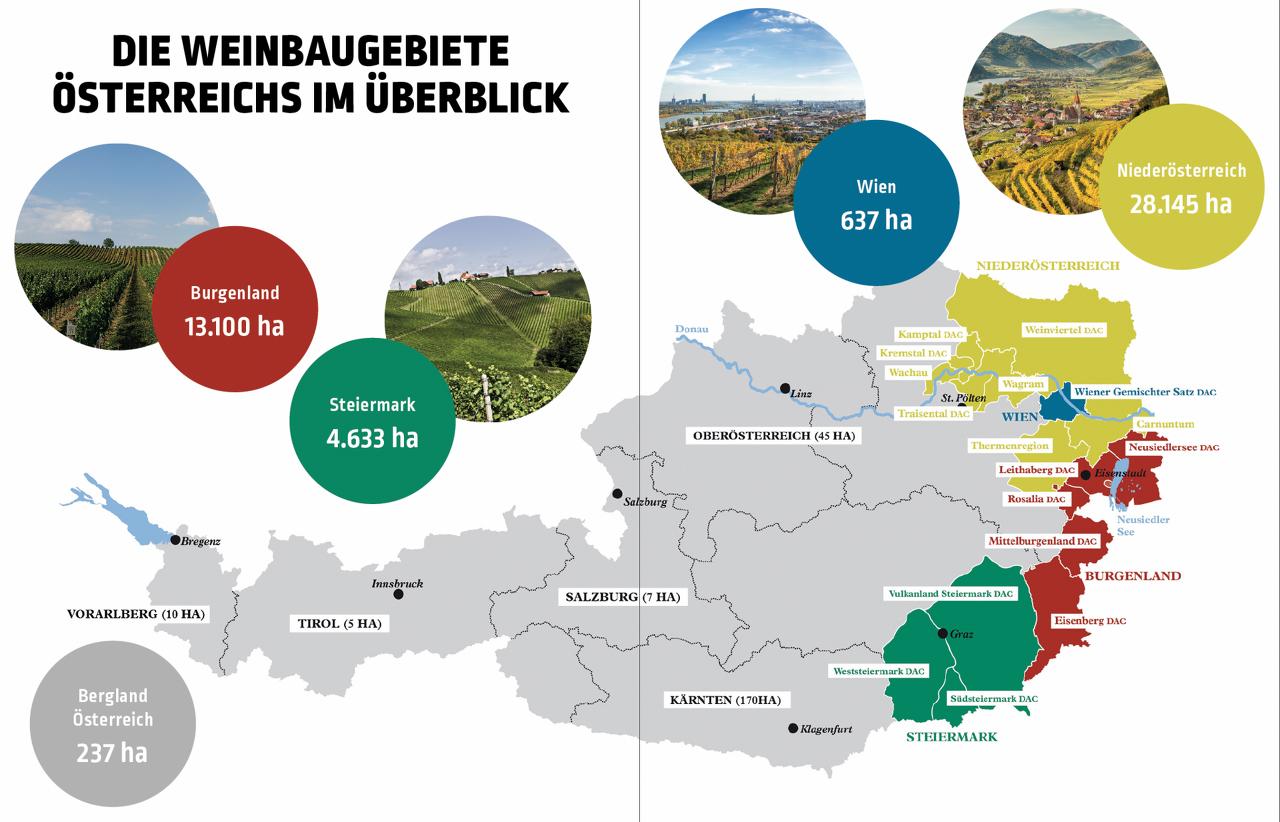 오스트리아 바인 산지