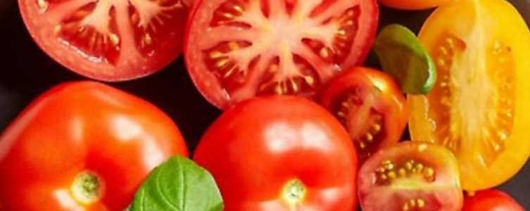 혈압 낮추는 음식 - 토마토