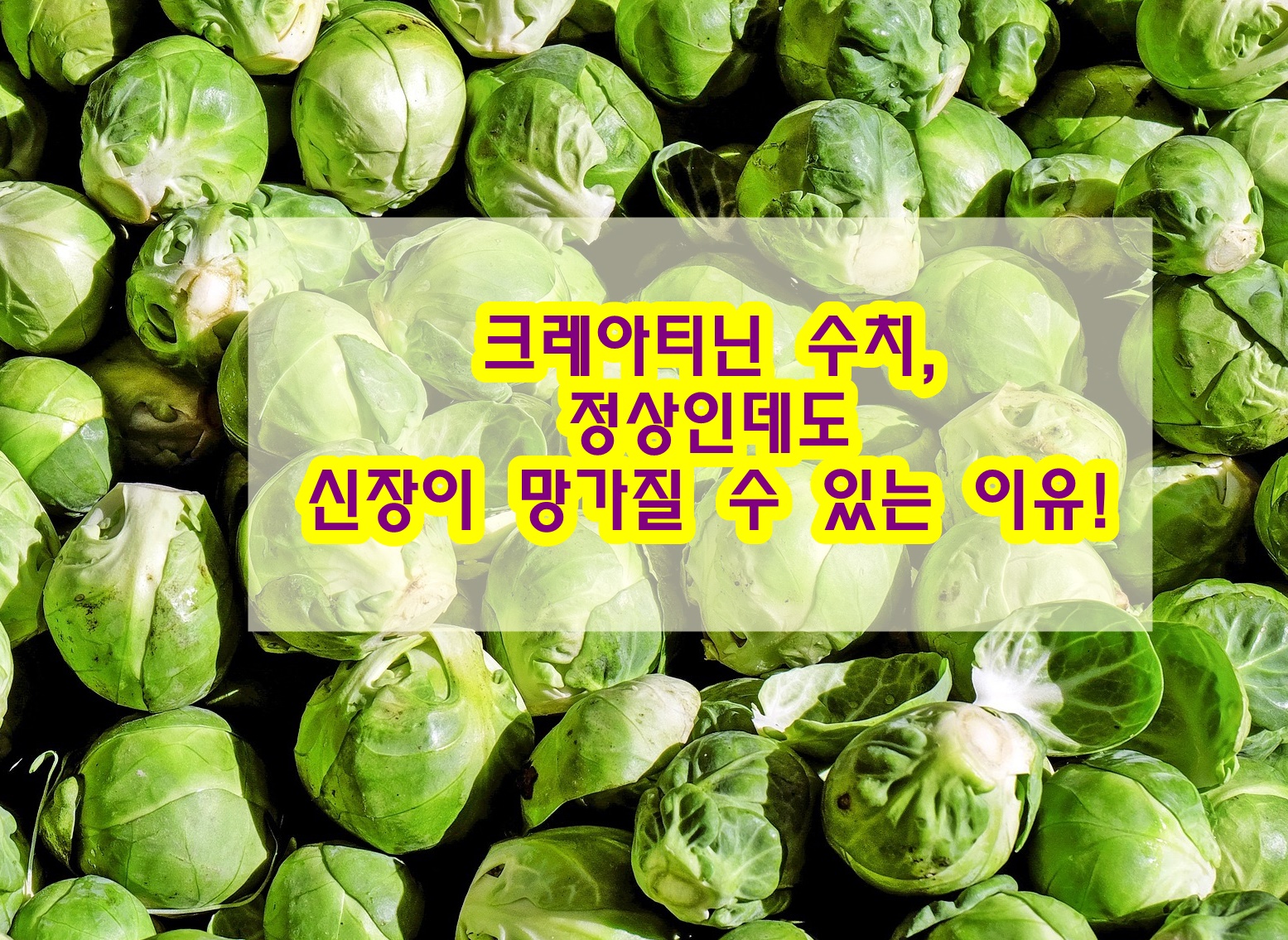 크레아티닌 수치, 정상인데도 신장이 망가질 수 있는 이유!