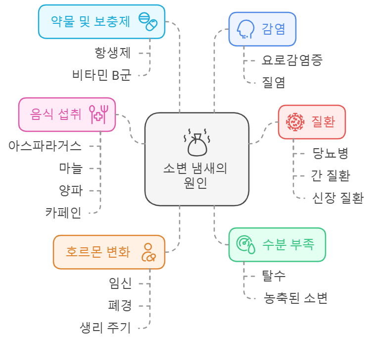 소변 냄새의 원인