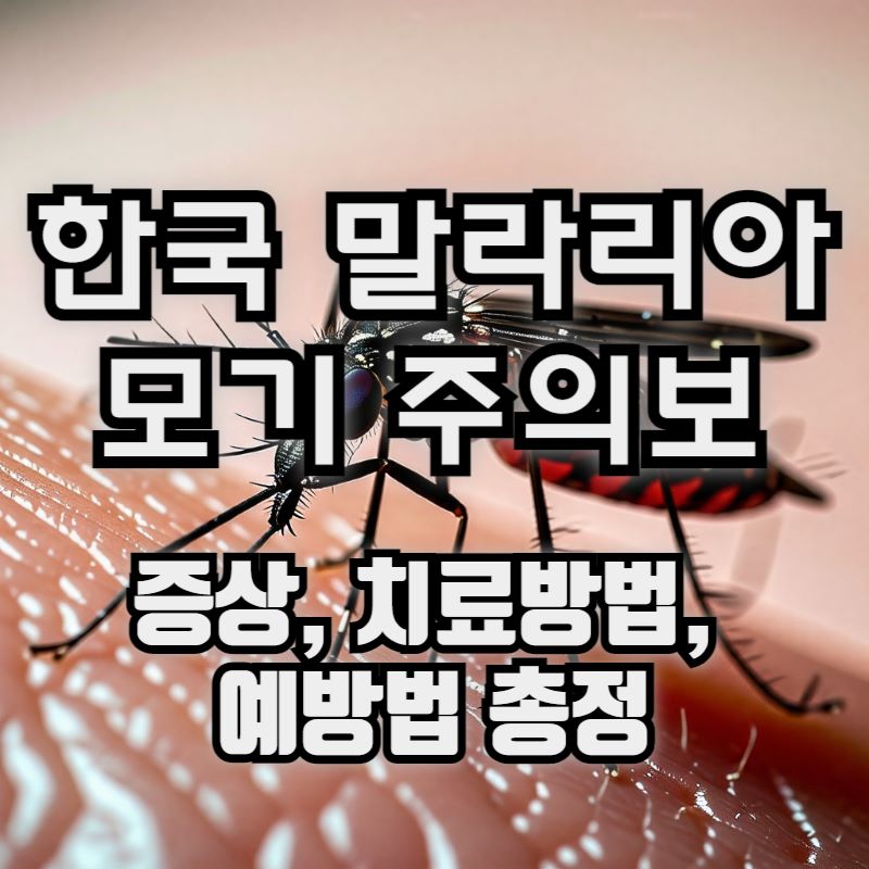 국내여행-말라리아모기-증상