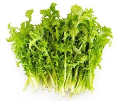 이눌린이 많은 식물 : 치커리