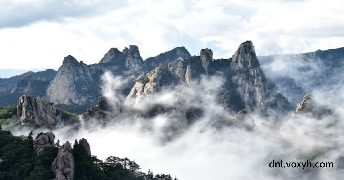 설악산 여름의 운무