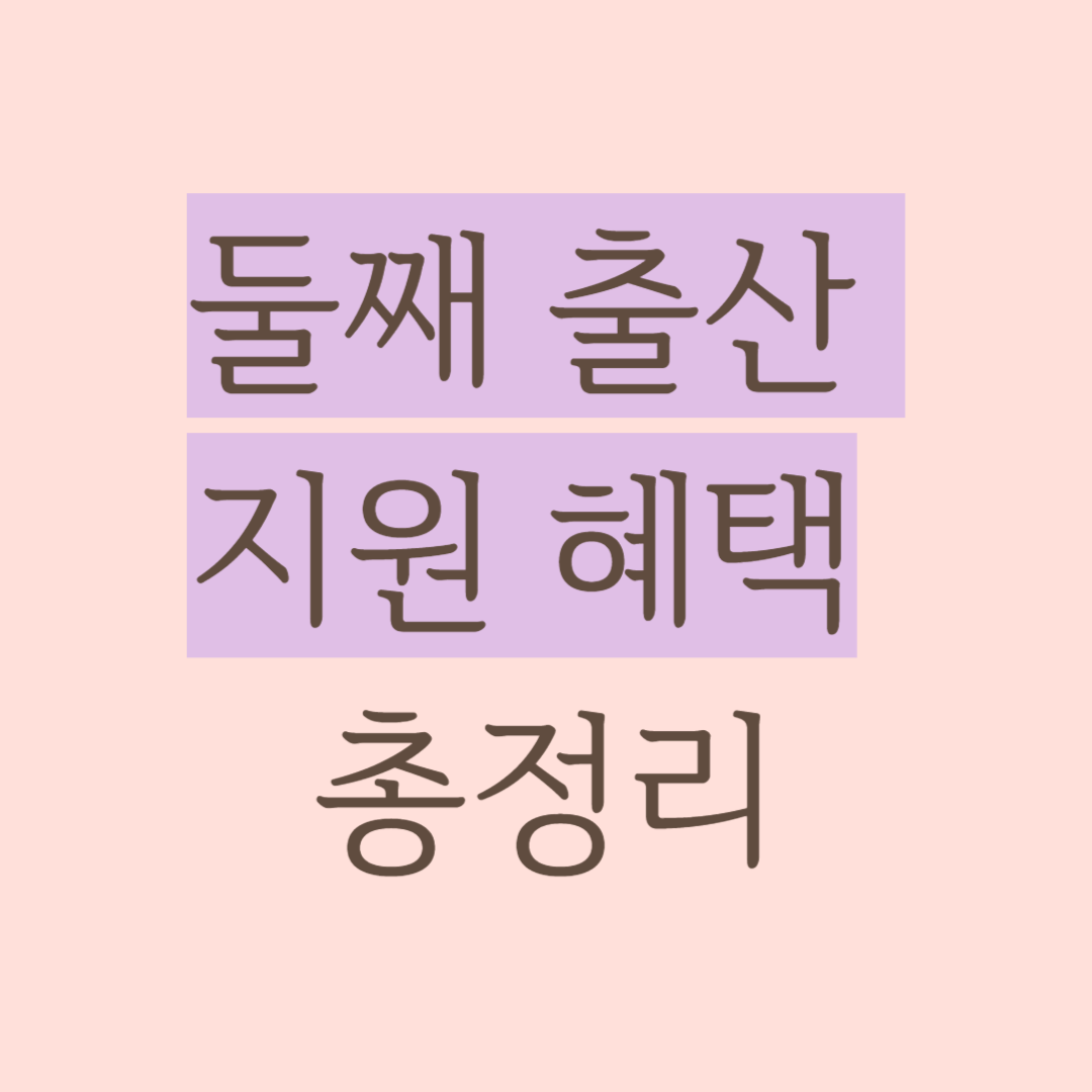 둘째 출산 지원 혜택