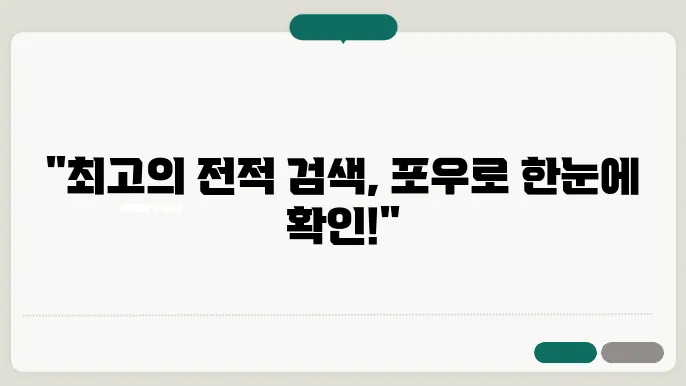 롤 전적검짉 포우