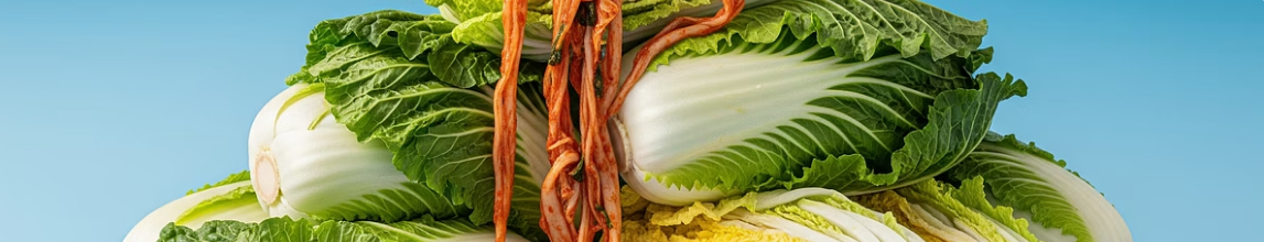 배추