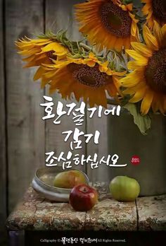 가을이미지