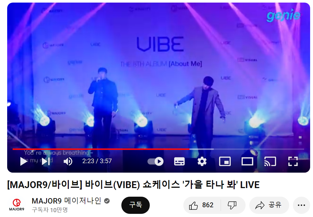 바이브 공연