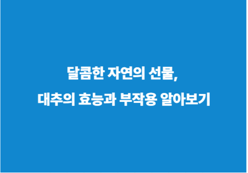달콤한 자연의 선물, 대추의 효능과 부작용 알아보기