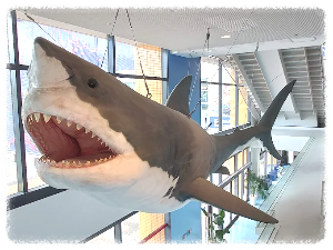 가이유칸 수족관