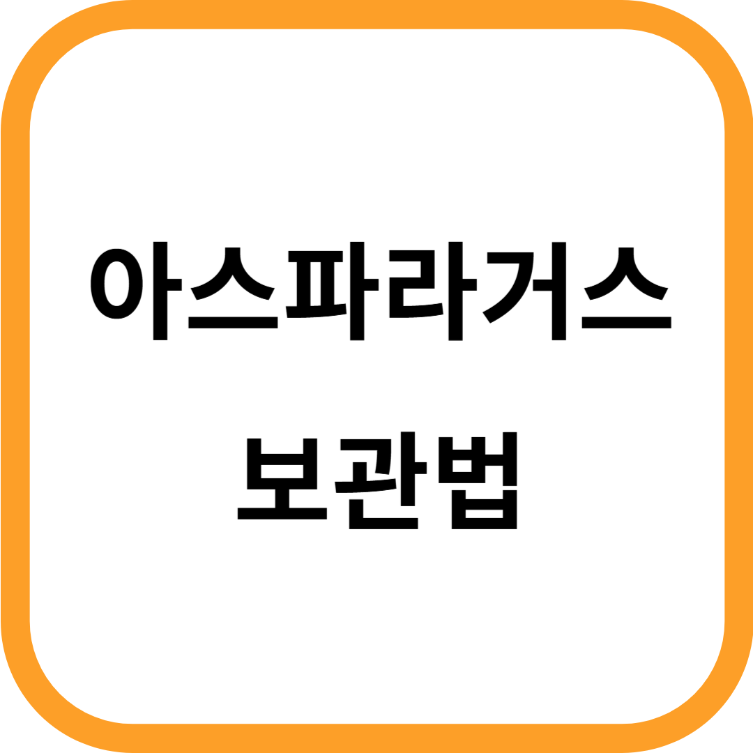 아스파라거스 보관법