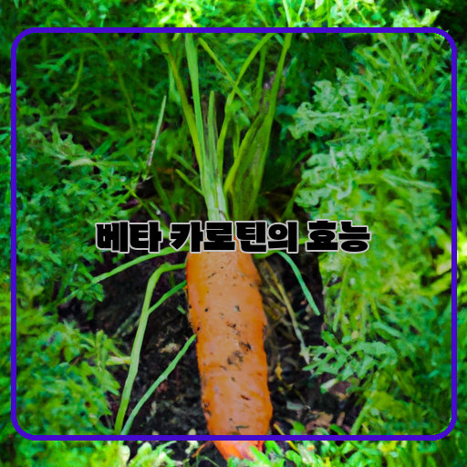 1)-베타-카로틴-2)-효능-3)-밝혀진다