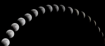 꽃피는 달의 신비와 의미 플라워문