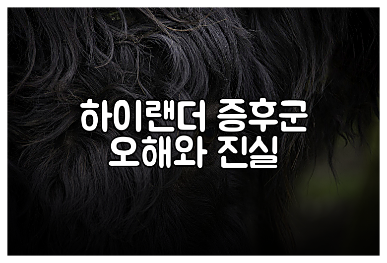 하이랜더 증후군 오해와 진실