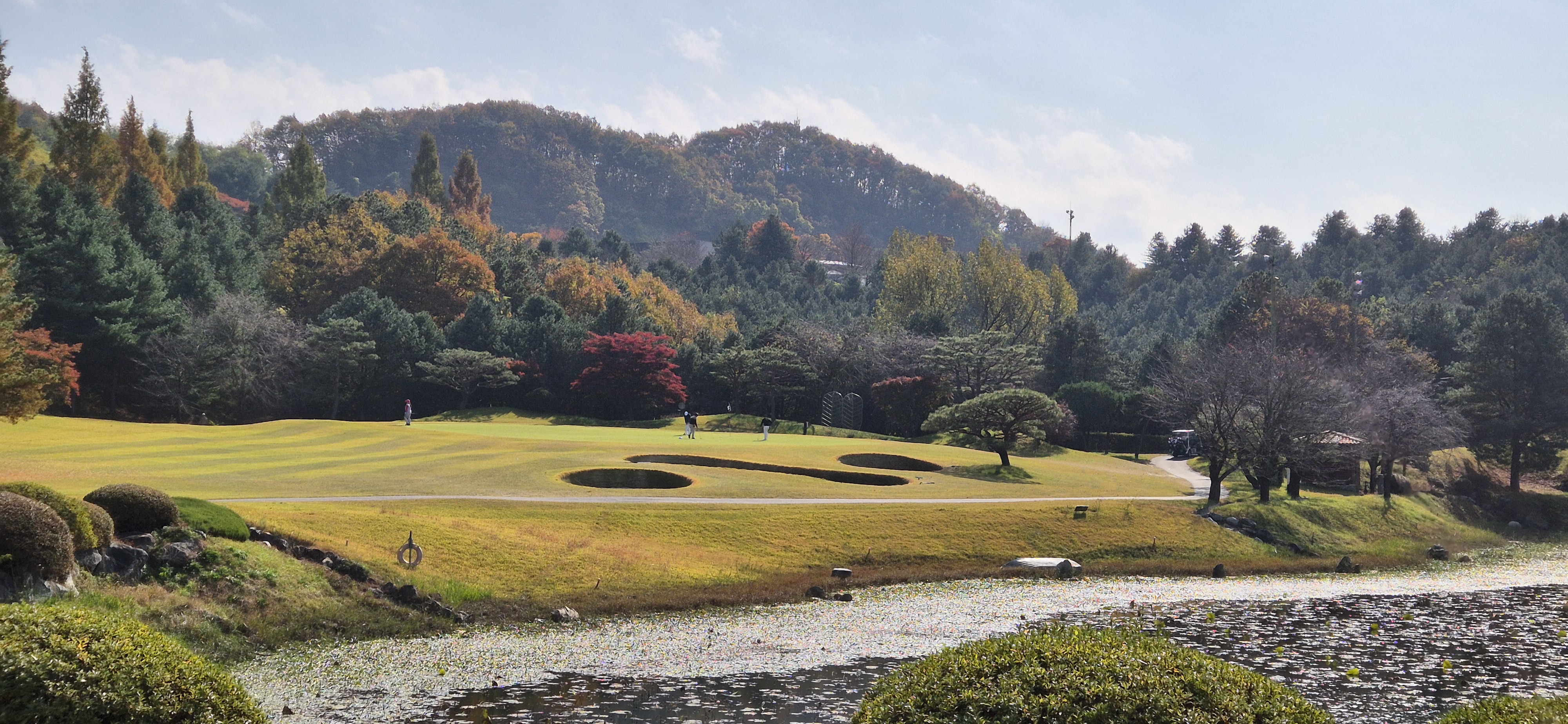 시그너스cc 실크코스 사진 및 공략 정보
