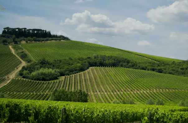 이탈리아 토스카나 여행! 코스 및 명소 총정리