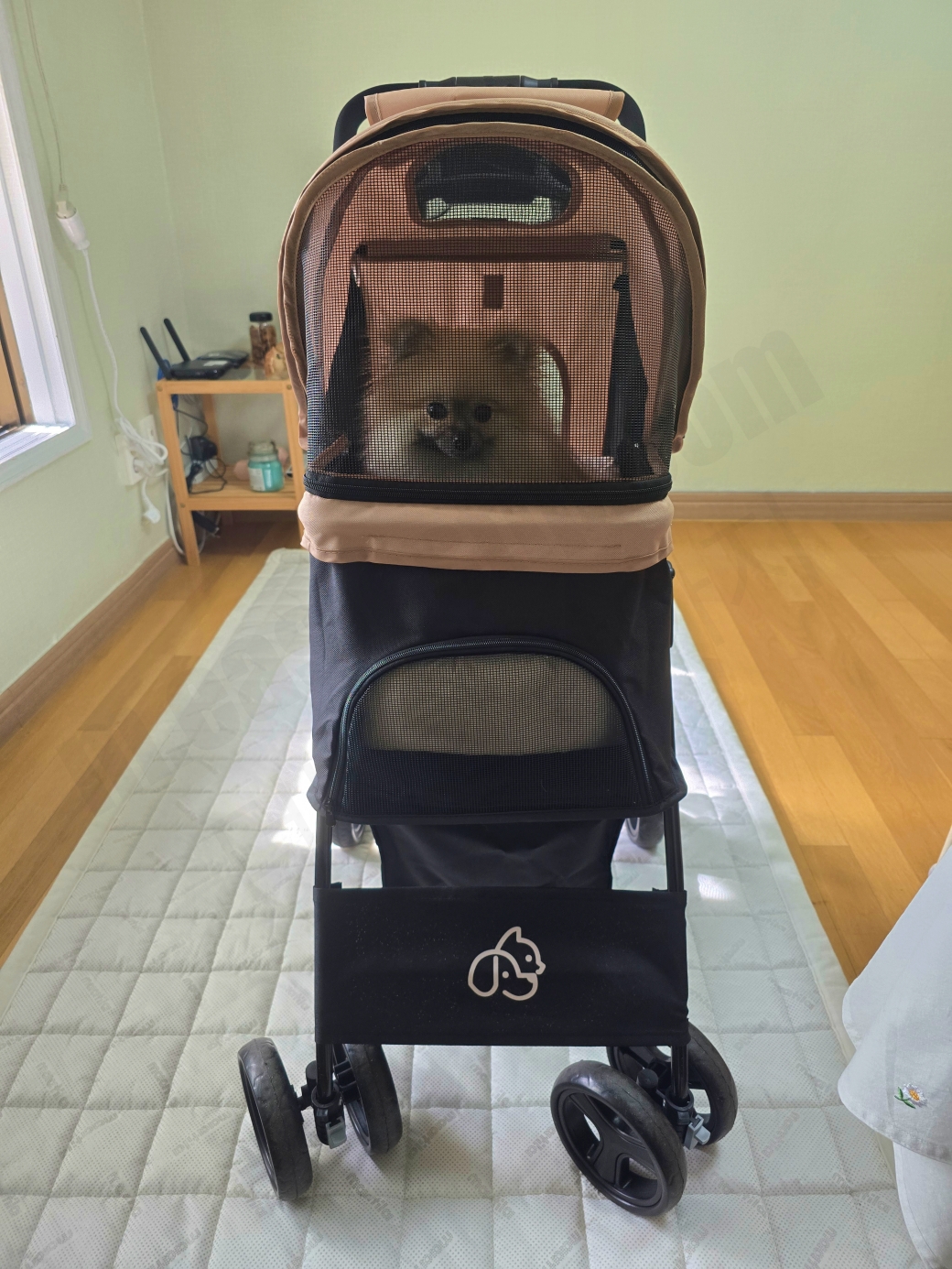 강아지 유모차