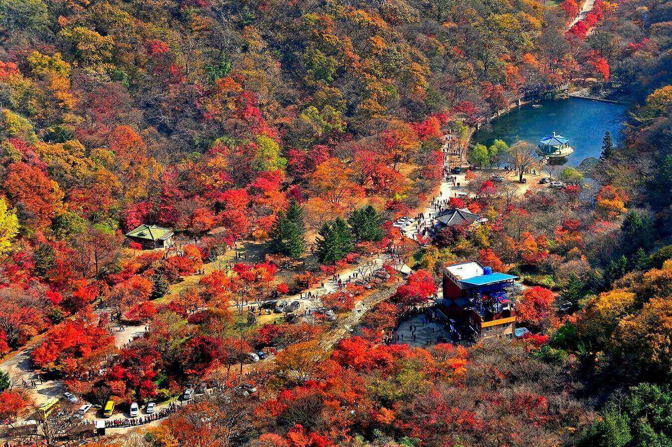 내장산