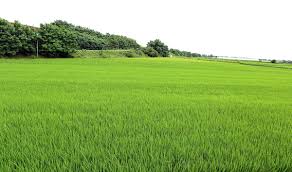 농지은행 농지 임대수탁 신청방법