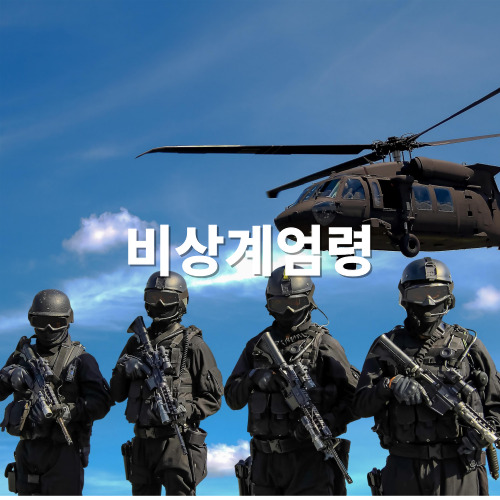 대한민국 비상계엄령