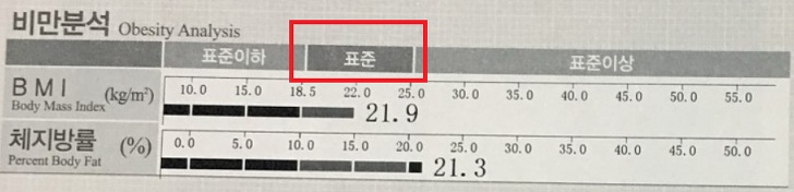 비만분석