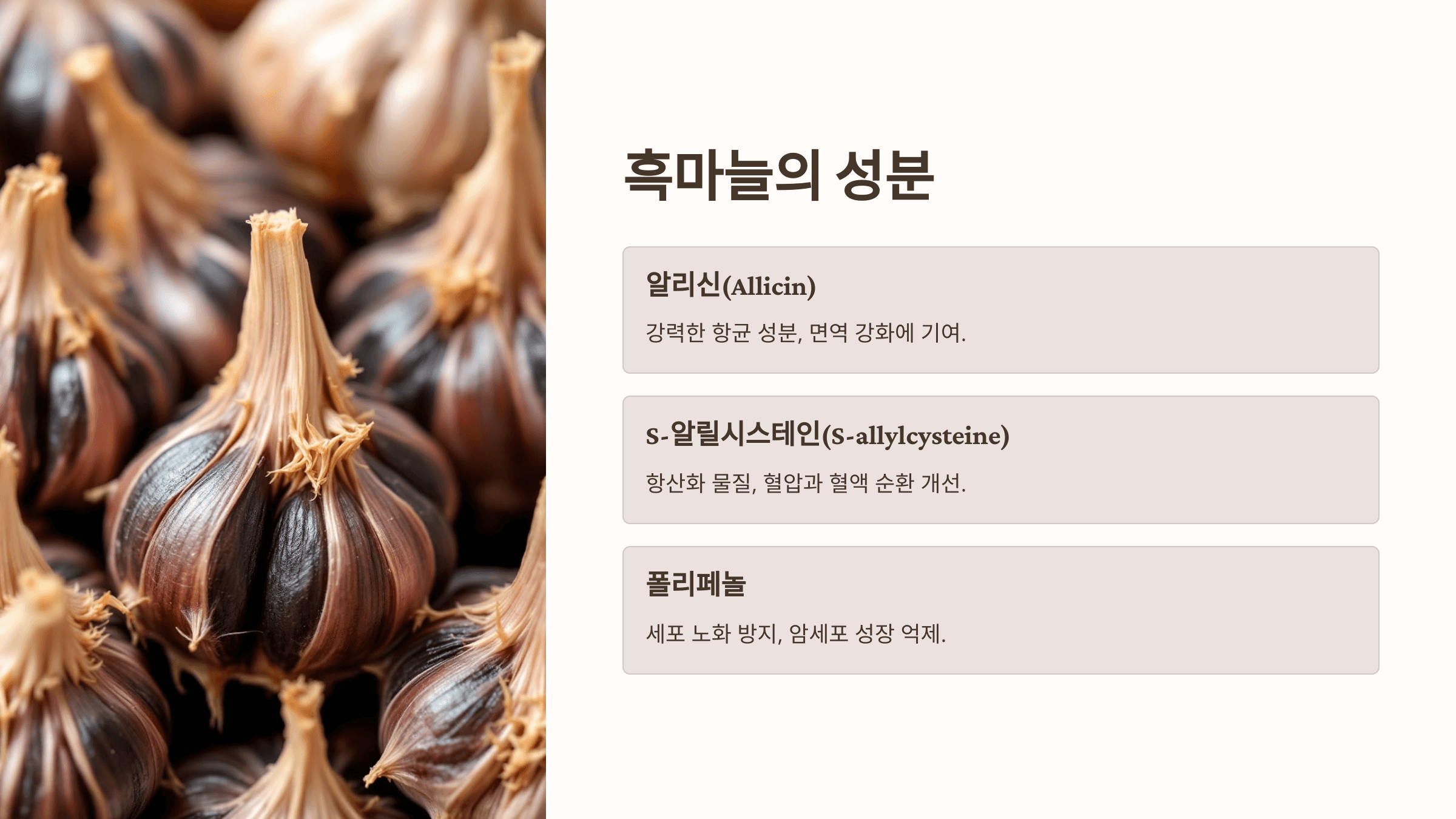 흑마늘과 관련된 사진입니다.