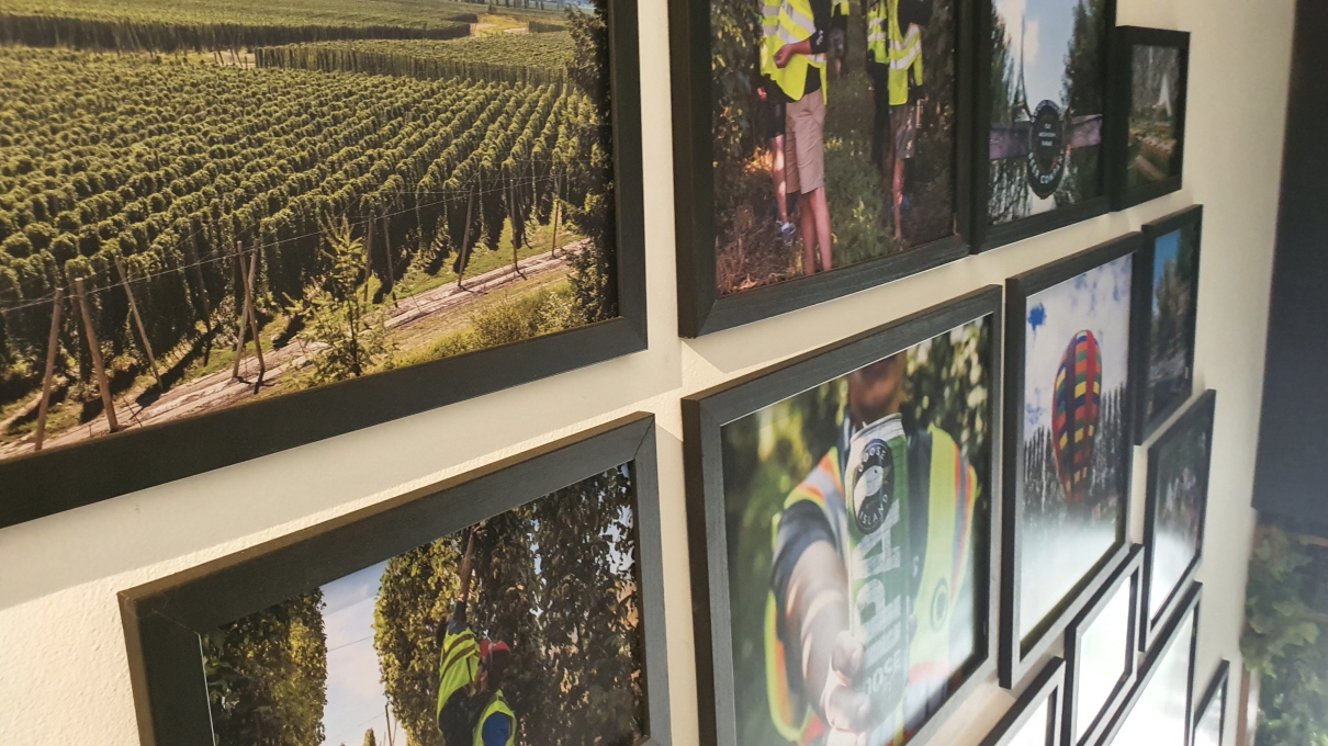 구스아일랜드-15