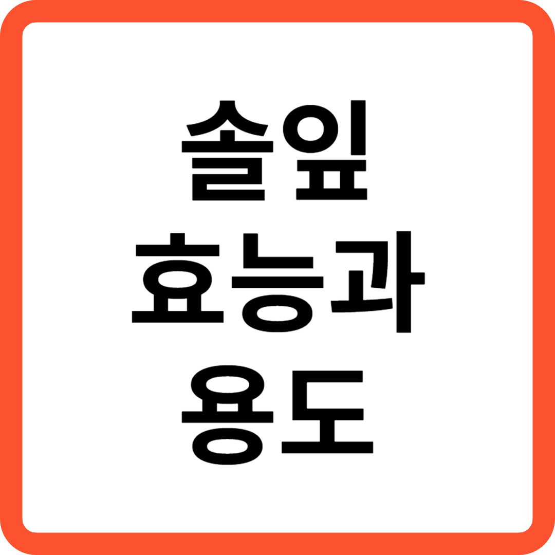 솔잎 효능과 용도