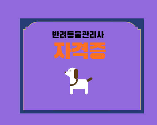 반려동물관리사-썸네일