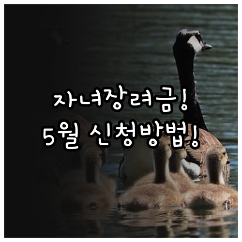 2026 자녀장려금 5월 정기 신청 ..
