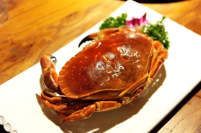 전현무계획2 대구 막창구이 진해숯불막창 맛집 정보 총정리_8