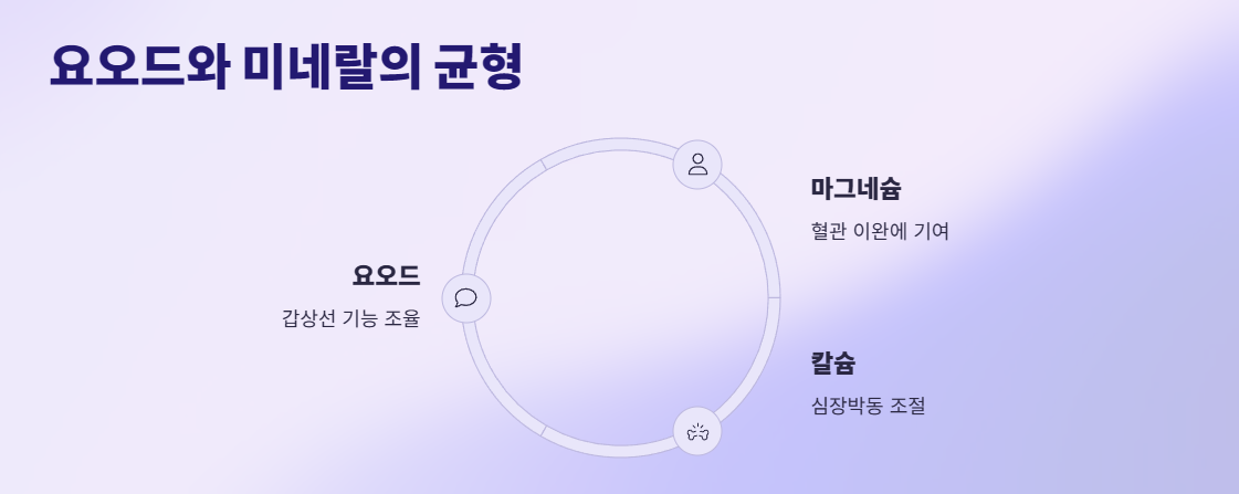 콜레스테롤 수치 조절 작용