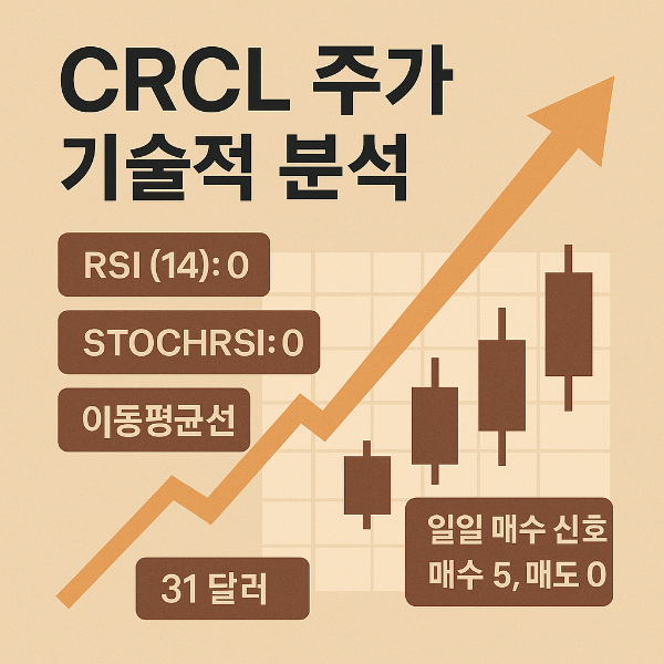 써클 인터넷 그룹 주가 전망 투자 분석