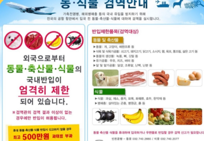 비행기 반입금지 음식