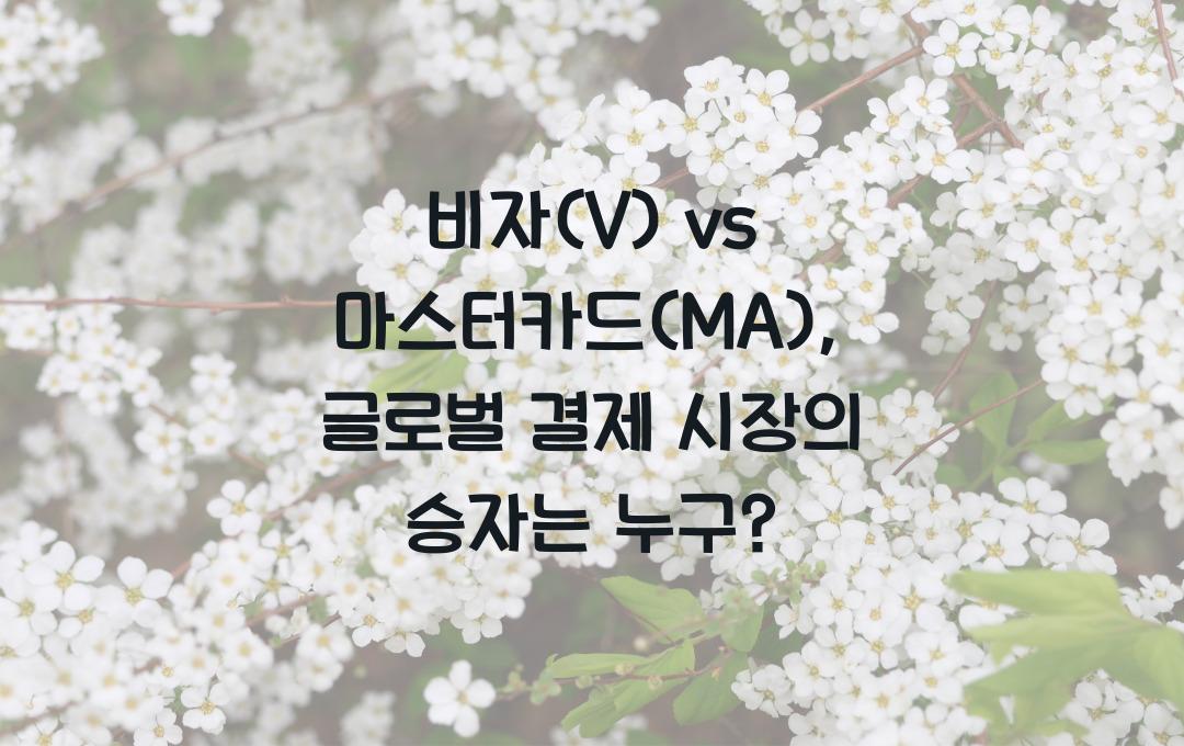비자(V) vs 마스터카드(MA), 글로벌 결제 시장의 강자는?