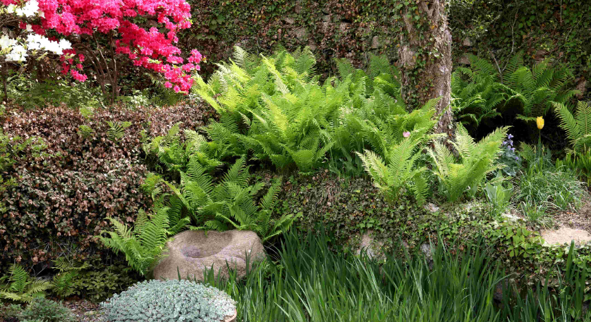 특색 있고 아름다운 민간 정원 30선 추천 여행 - 17. 아산 이화재