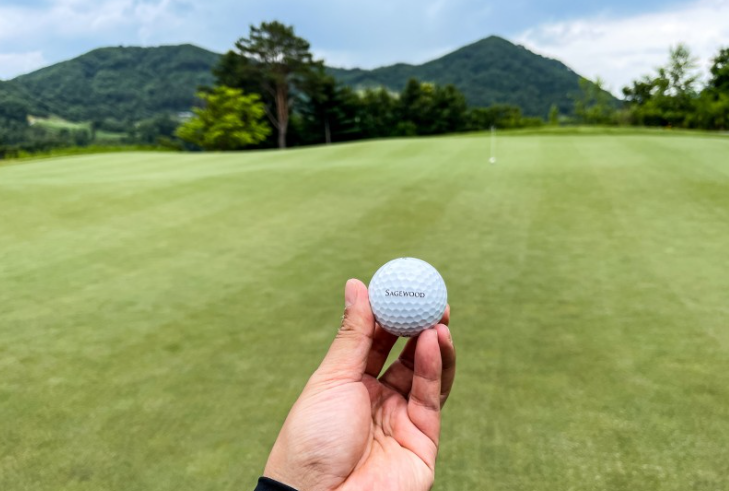 세이지우드여주 골프클럽