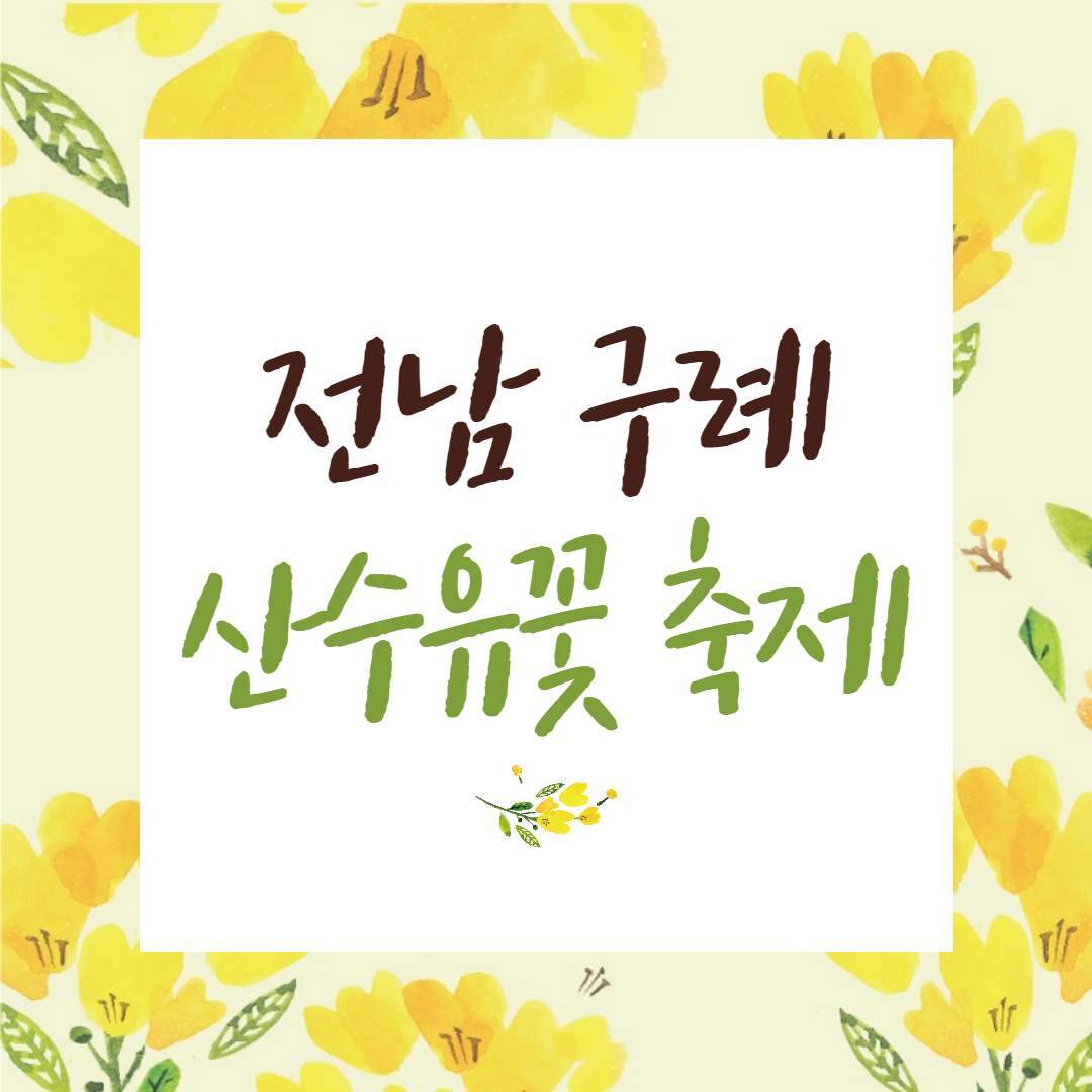 전남구례 산수유꽃축제 봄꽃축제