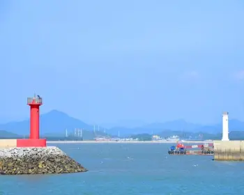 서천 동백꽃 주꾸미 축제_26