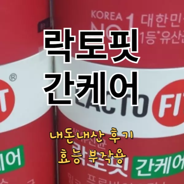 락토핏 간케어 내돈내산 후기 효과 부작용
