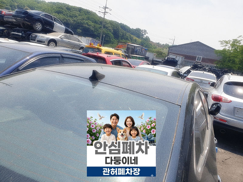광양시폐차장 방치차량폐차 장기 방치 차량 상태 확인