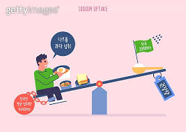 나트륨의 중요성