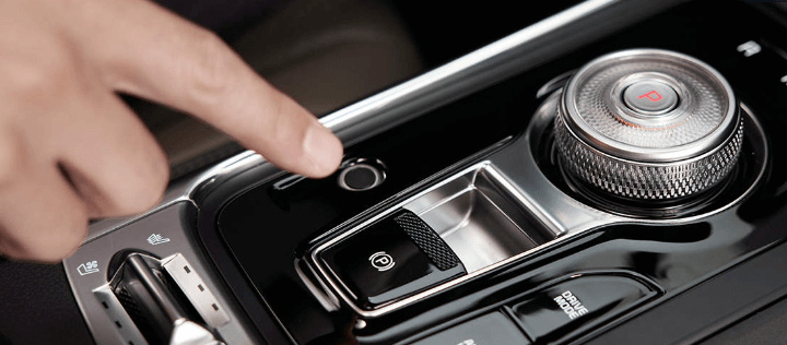 카니발 하이브리드