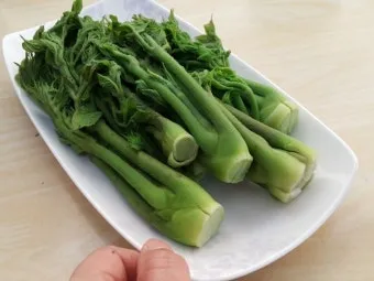 개두릅 참두릅 차이 섭취방법_20