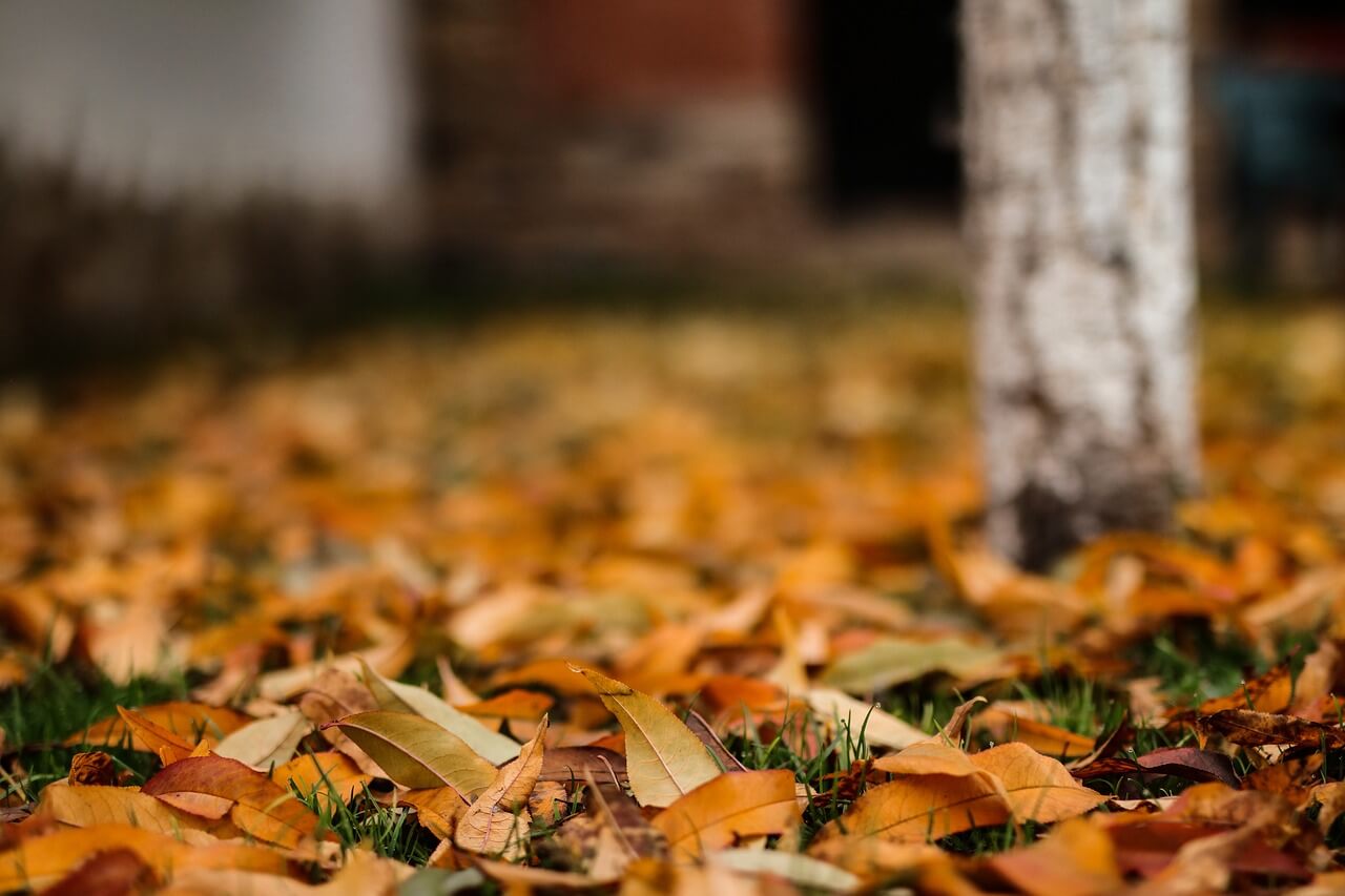조경직 공무원 되는 법 🌳 자연과 함께하는 안정된 공무원 직업 알아보기