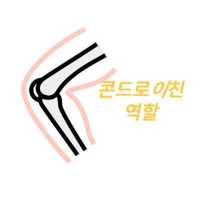 콘드로이친-효능-부작용